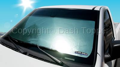 2010 CHRYSLER TOWN & COUNTRY SILVER SHIELD